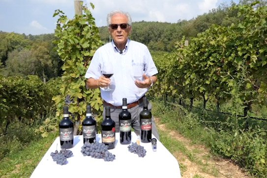 Sergio Bonfanti Amarone della Valpolicella DOCG italie Amarone Expert Amaroneexpert Amaroneexpert.nl wijn bestellen online smaaktest